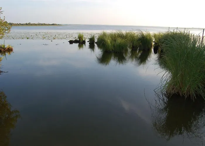 Au Calme Avec Jardin Et Parking Pratique - Fr-1-306-1335 Villeneuve-en-Retz